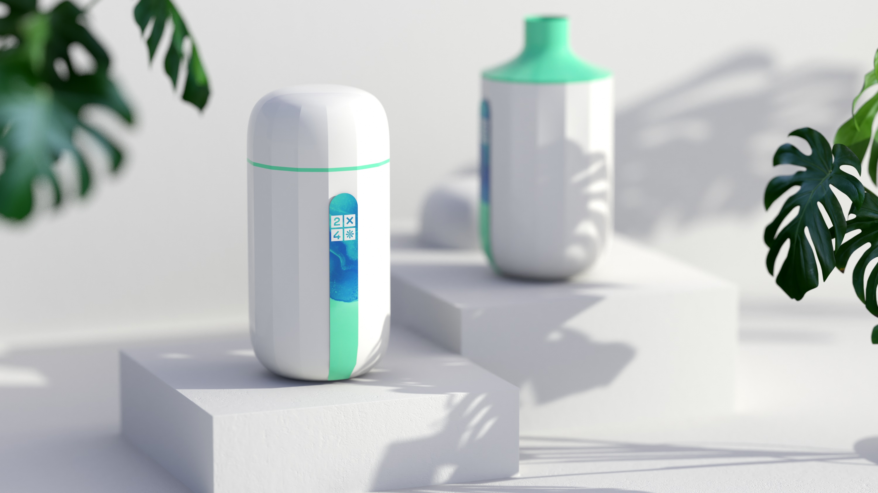 2X4 package design rendering