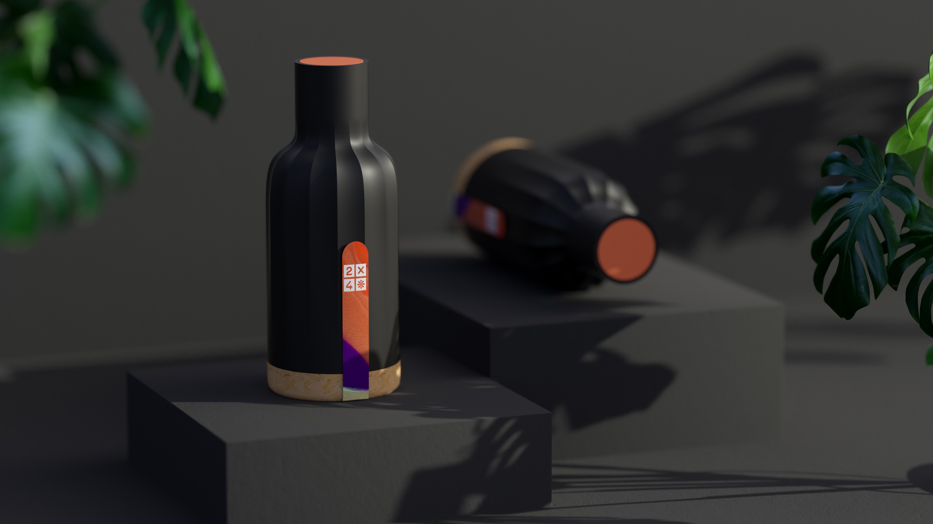 2X4 package design rendering
