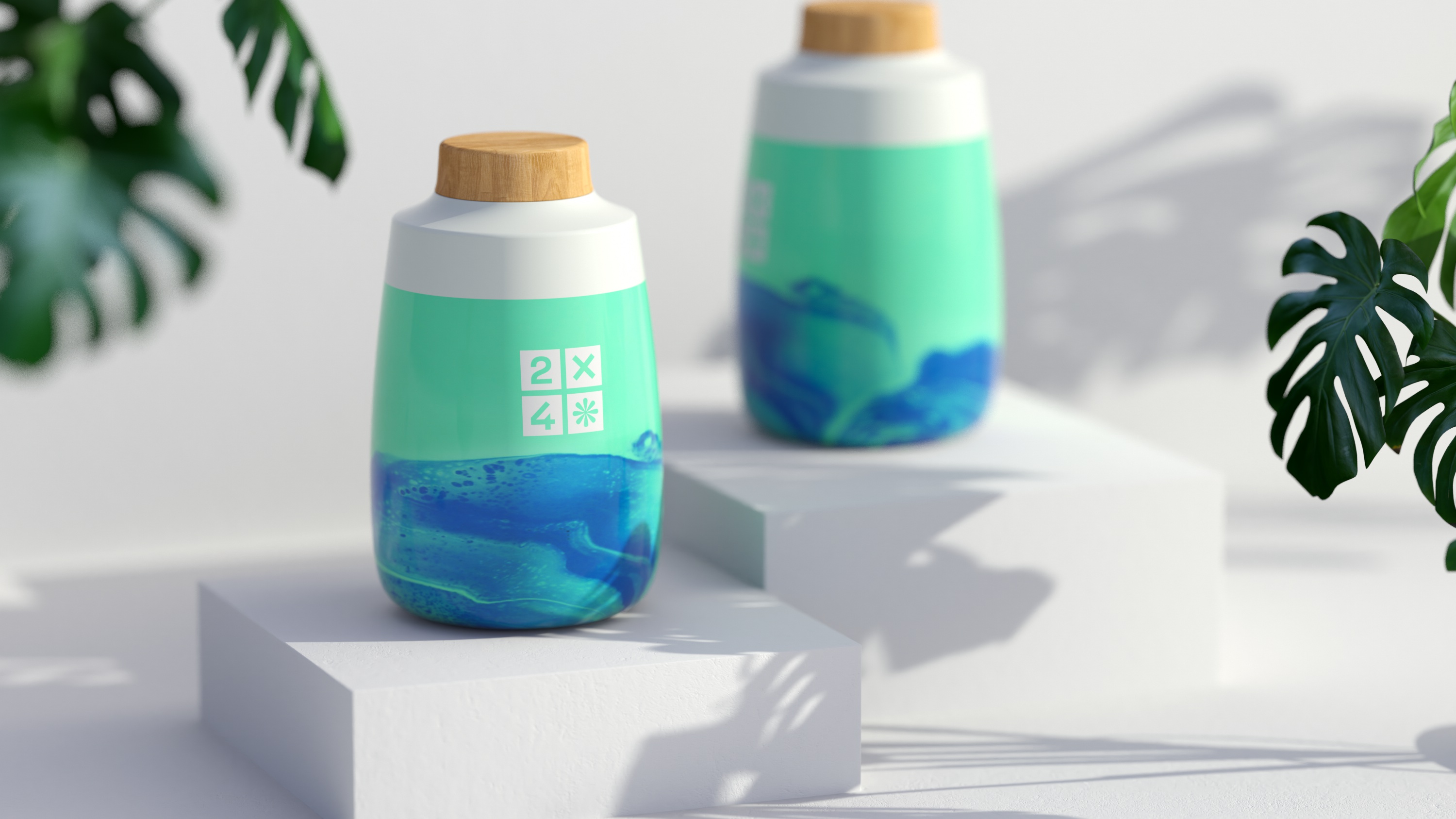 2X4 package design rendering