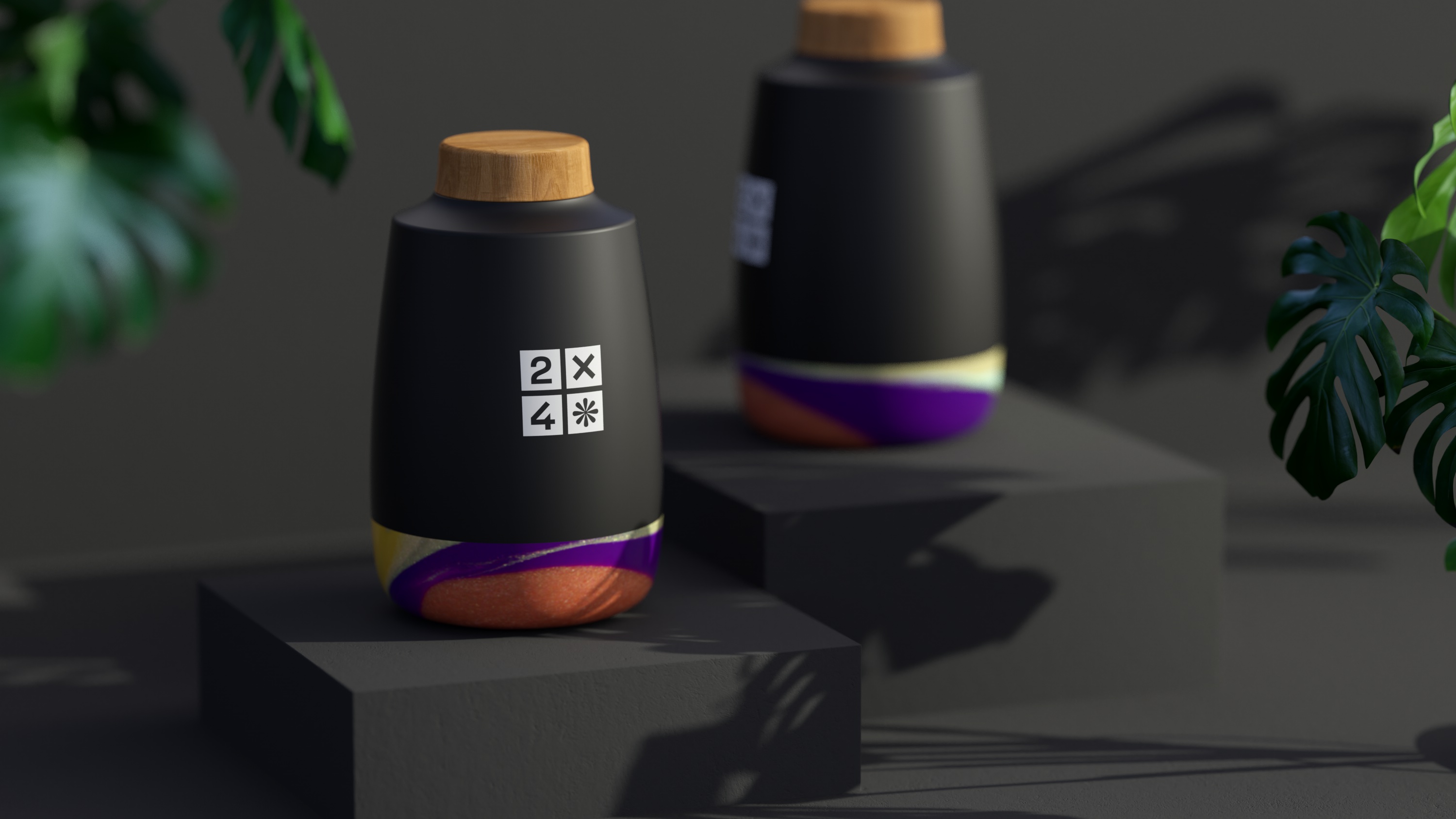 2X4 package design rendering