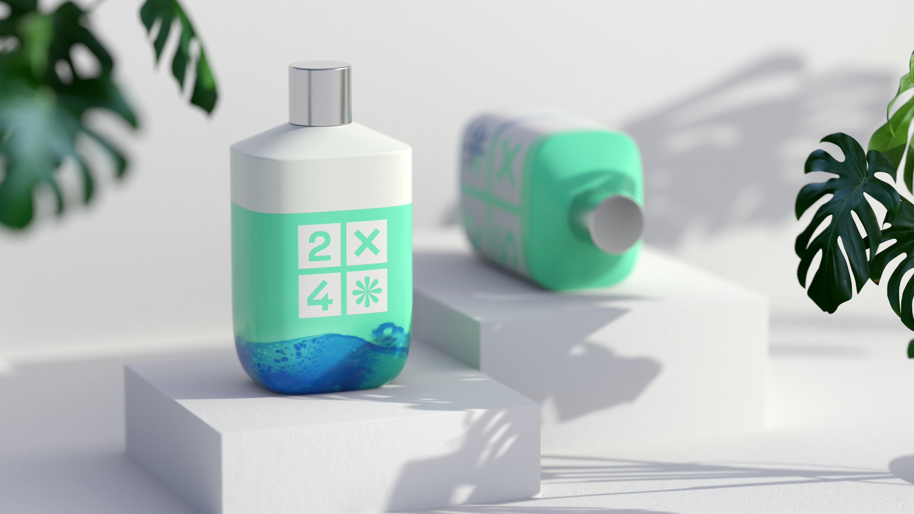 2X4 package design rendering