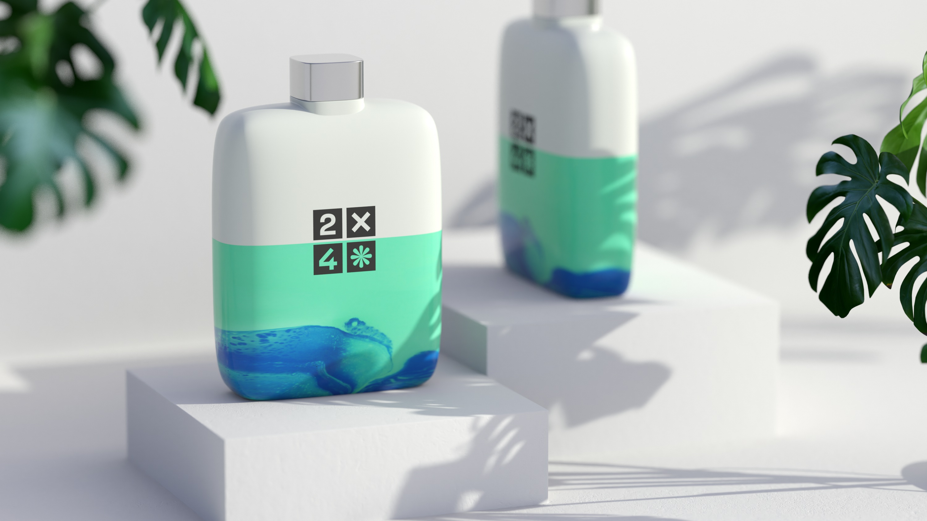 2X4 package design rendering