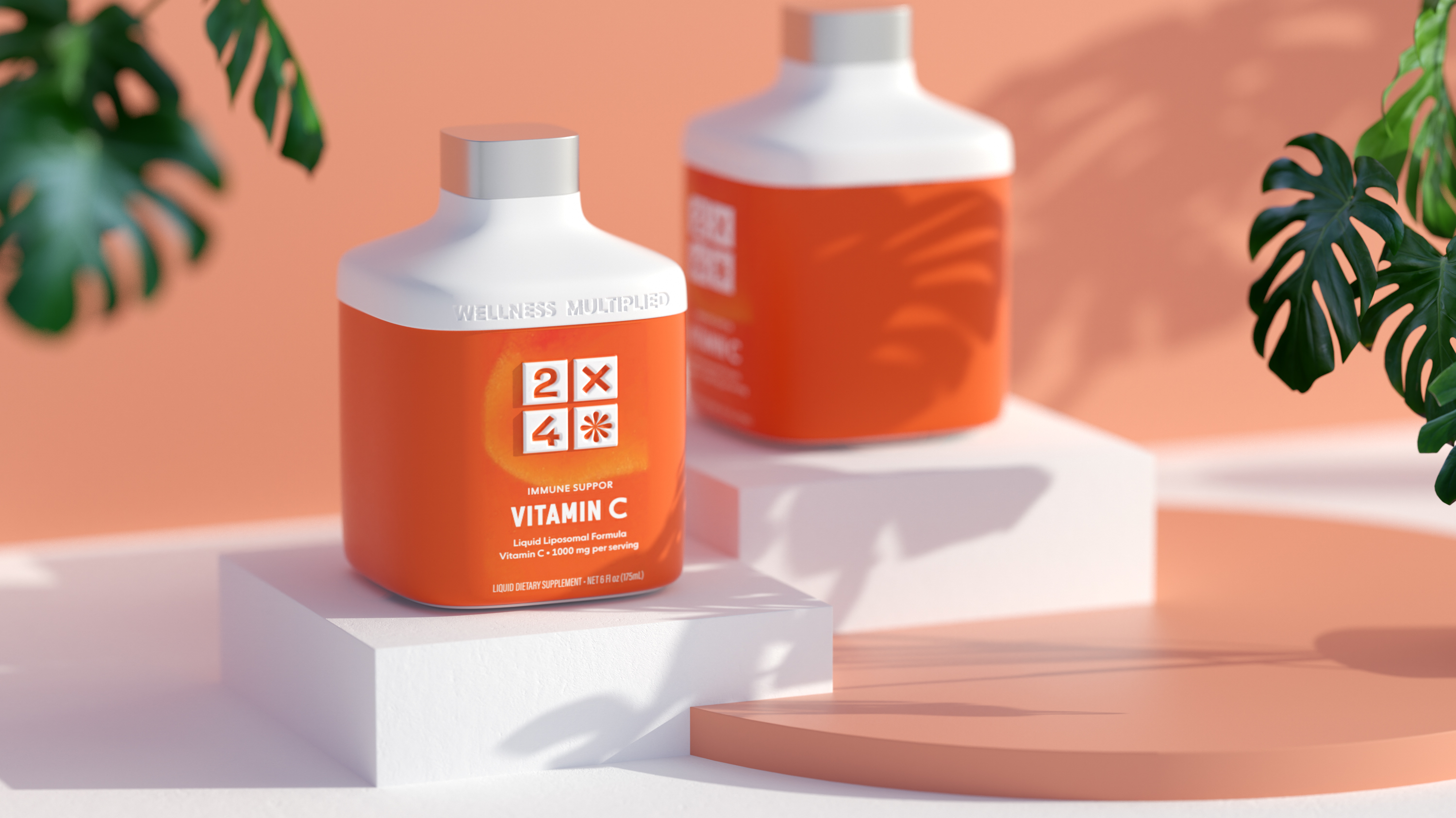 2X4 package design rendering